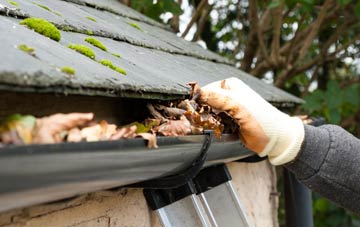 gutter cleaning Westcroft